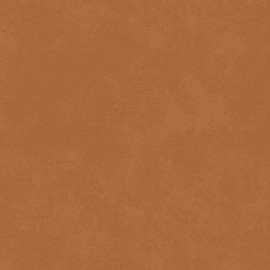 Лагуна 17